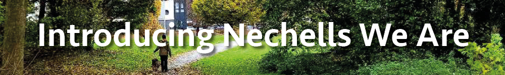 Introducing Nechells We Are Heading